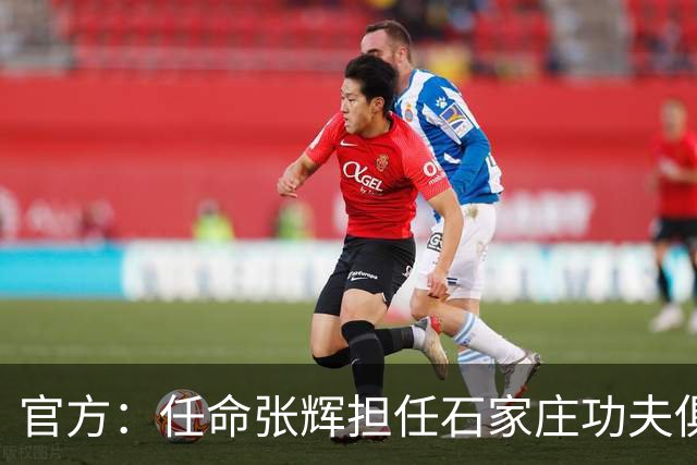 官方：任命张辉担任石家庄功夫俱乐部总经理，袁野担任副总经理
